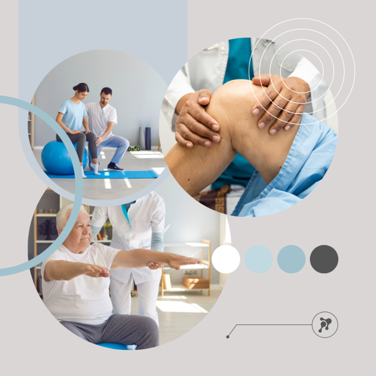 Фитокрем-бальзам (Крем для суставов, фитокрем) для суставов, локтей 250 мл. DctrGo  в Омске